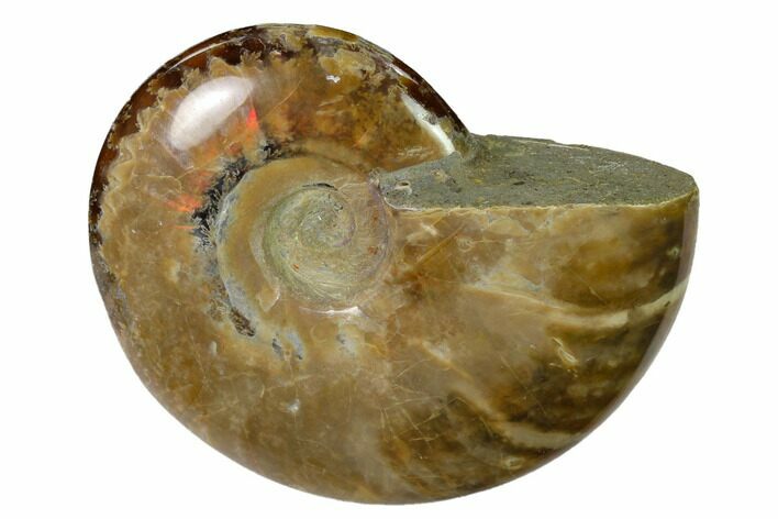 Red Flash Ammonite Fossil - Madagascar #151732